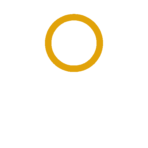 Professional Service Team